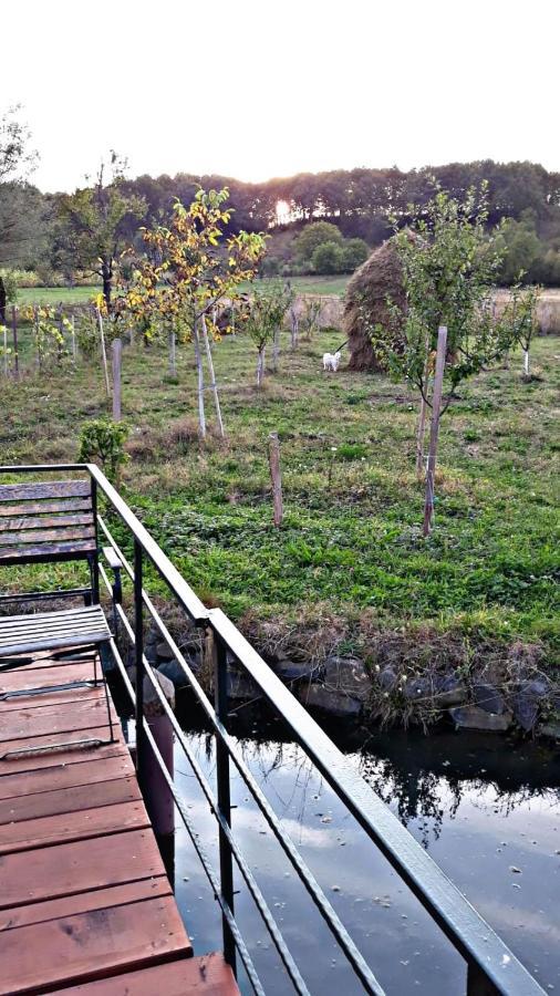 La Curtea Veche Appartement Lapus Buitenkant foto