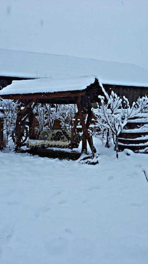 La Curtea Veche Appartement Lapus Buitenkant foto