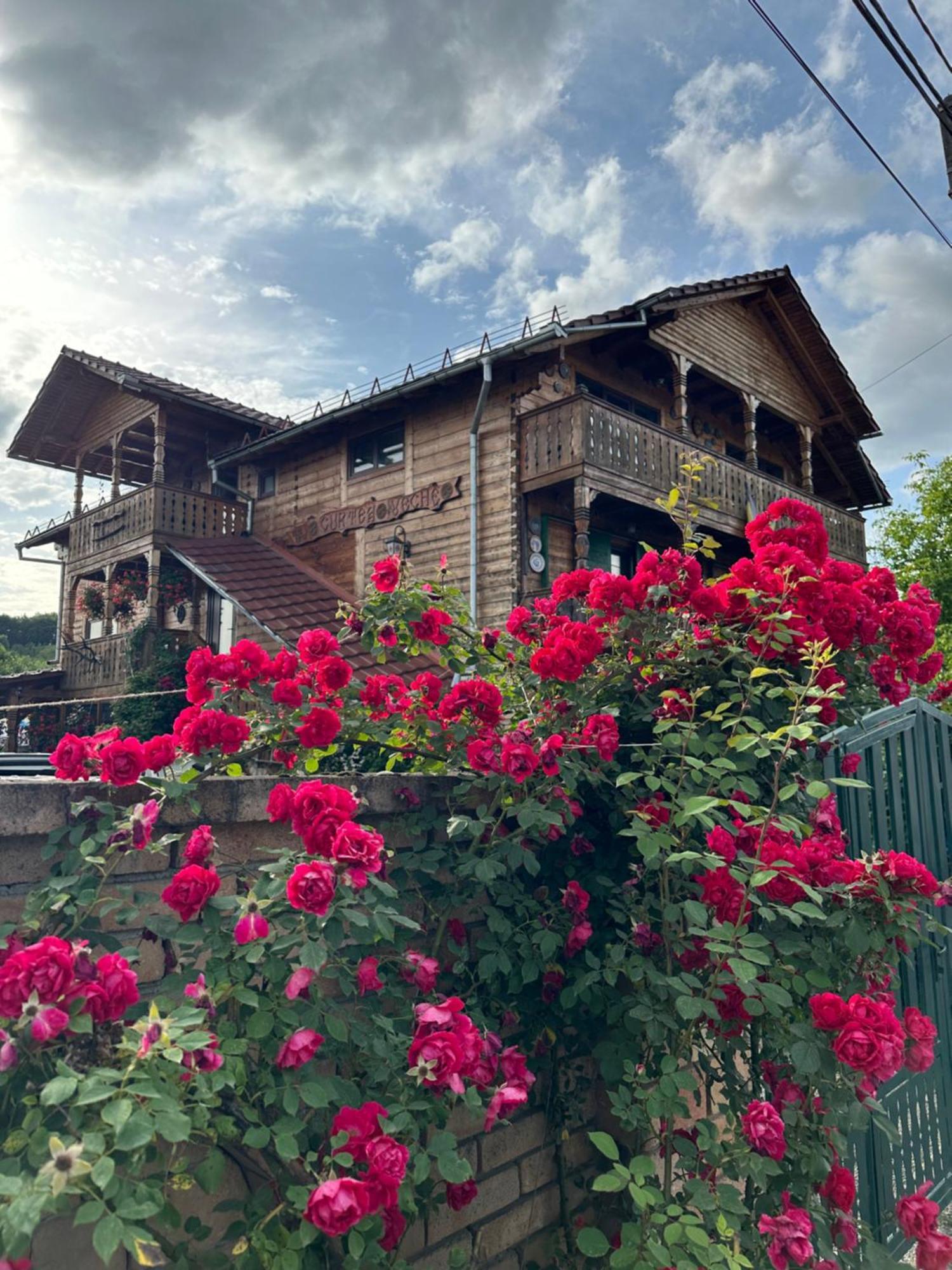 La Curtea Veche Appartement Lapus Buitenkant foto